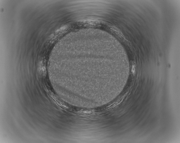 X0000085760771200704131737