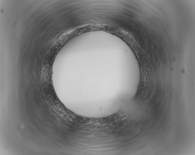 X0000085760773200704131737