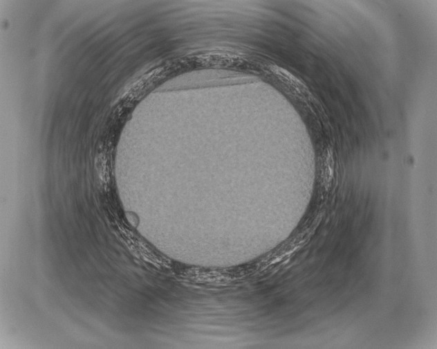 X0000085760774200704131737