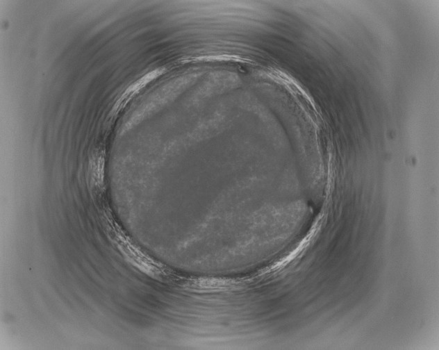 X0000085760777200704131737