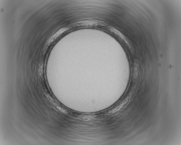 X0000085760778200704131737
