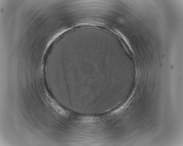 X0000085760779200704131737
