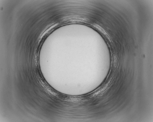 X0000085760782200704131737