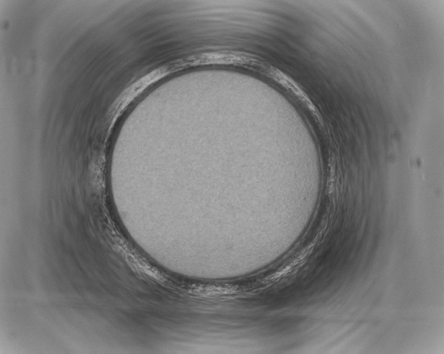X0000085760786200704131737