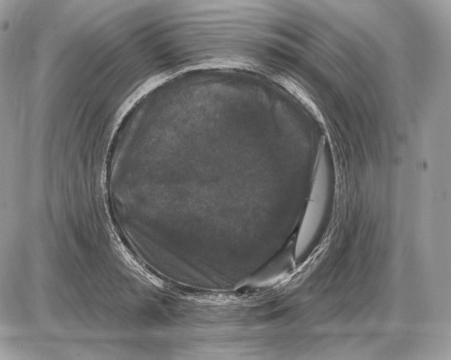 X0000085760797200704131736