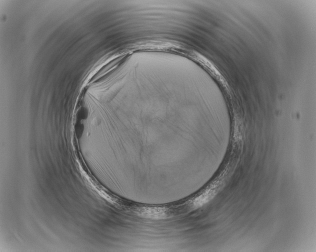 X0000085760802200704131736