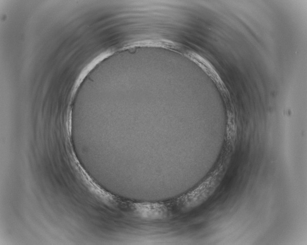 X0000085760804200704131736