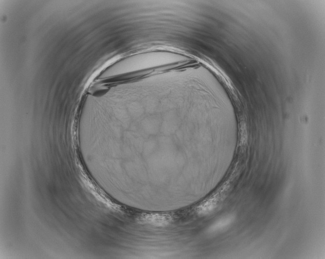 X0000085760806200704131736
