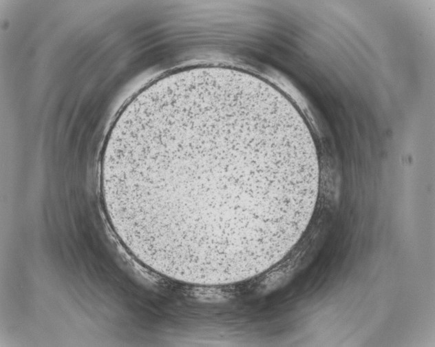 X0000085760807200704131736