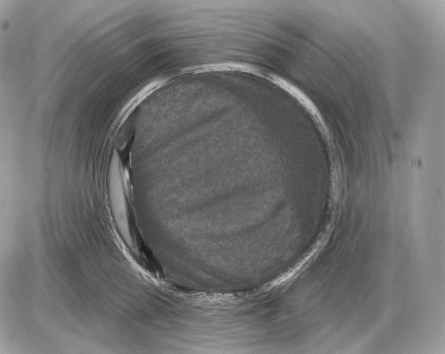 X0000085760809200704131736