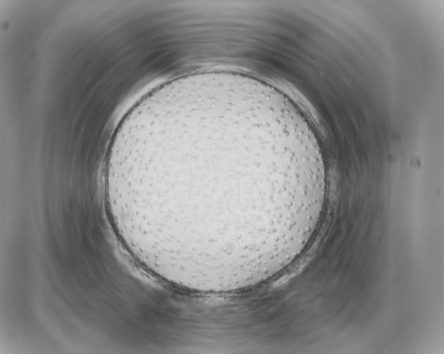 X0000085760814200704131736