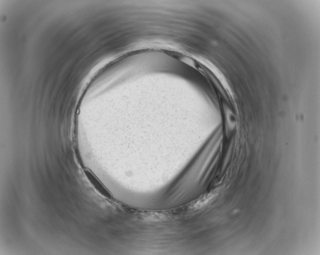 X0000085760815200704131736