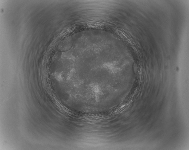 X0000085760817200704131735