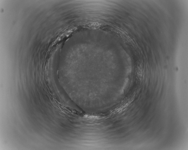 X0000085760818200704131735