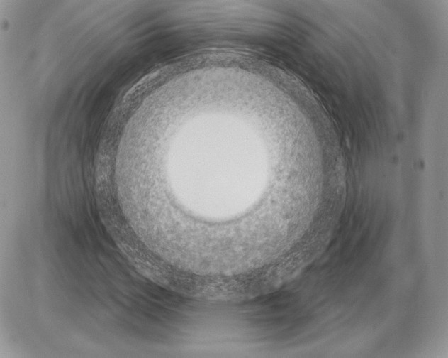 X0000085760824200704131735