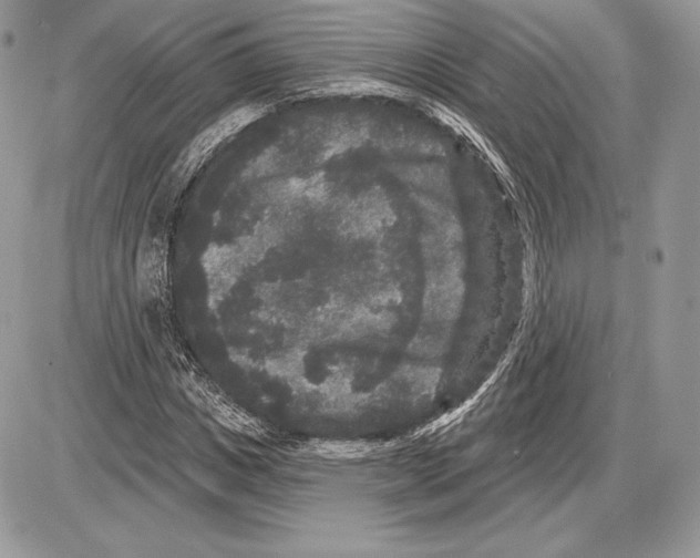 X0000085760825200704131735