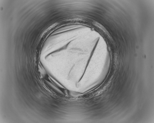 X0000085760826200704131735