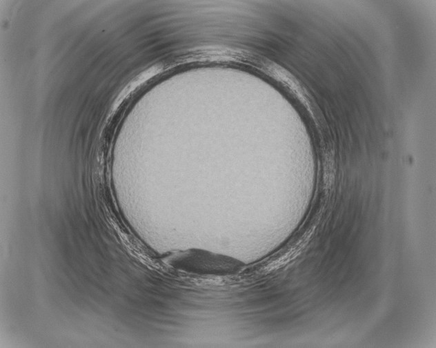 X0000085760827200704131735