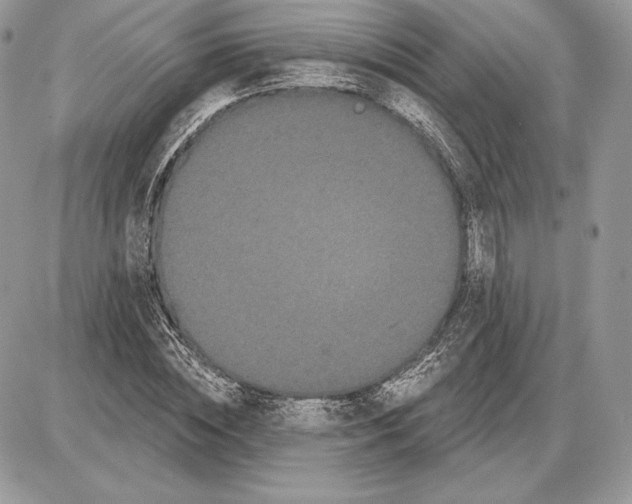 X0000085760828200704131735