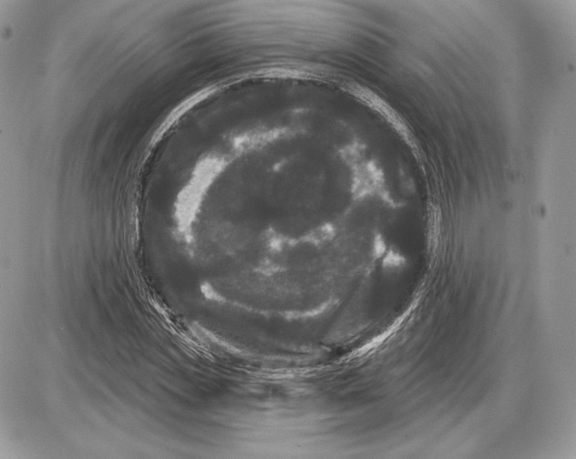 X0000085760829200704131735