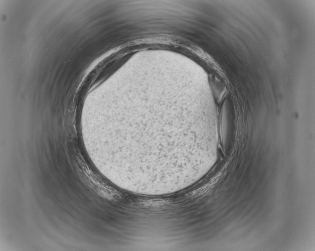 X0000085760830200704131735