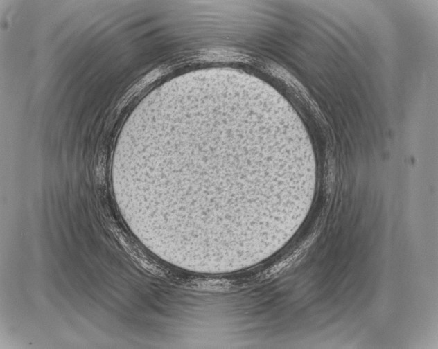 X0000085760833200704131735