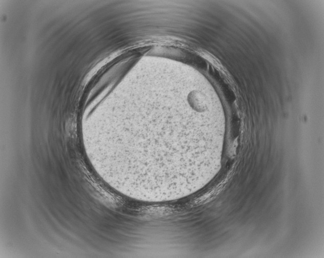 X0000085760834200704131735