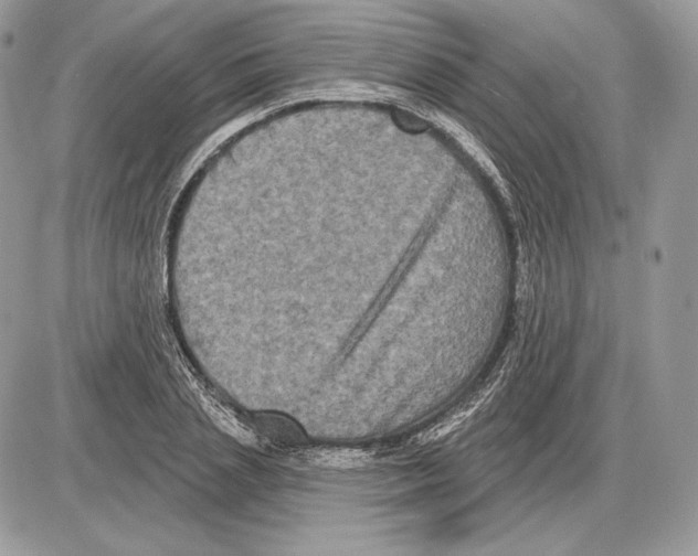 X0000085760837200704131736