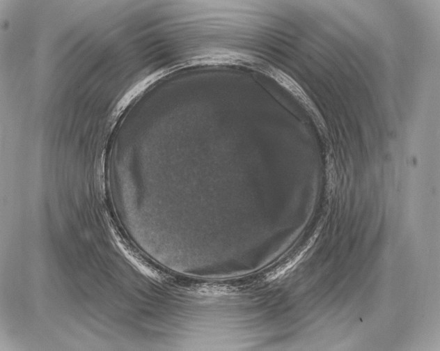 X0000085760842200704131736