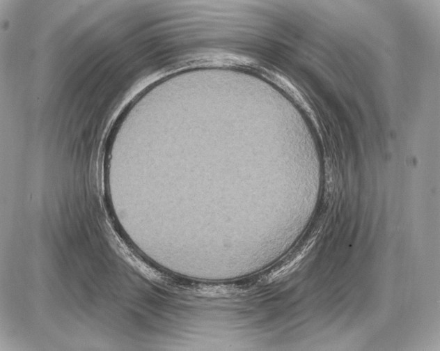 X0000085760843200704131736
