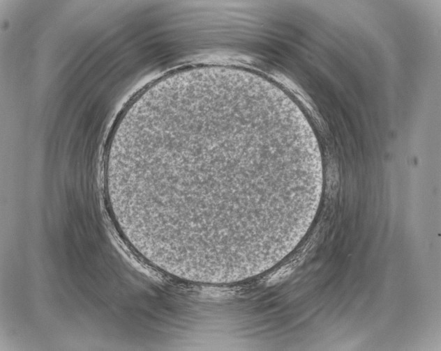 X0000085760848200704131736