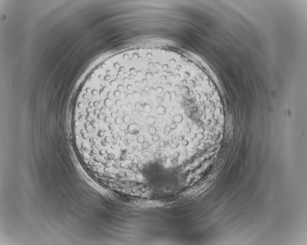 X0000085760851200704131736