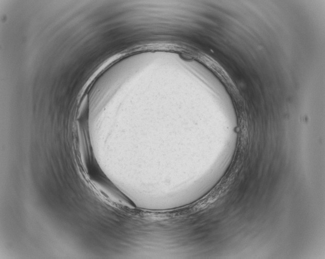 X0000085760852200704131736