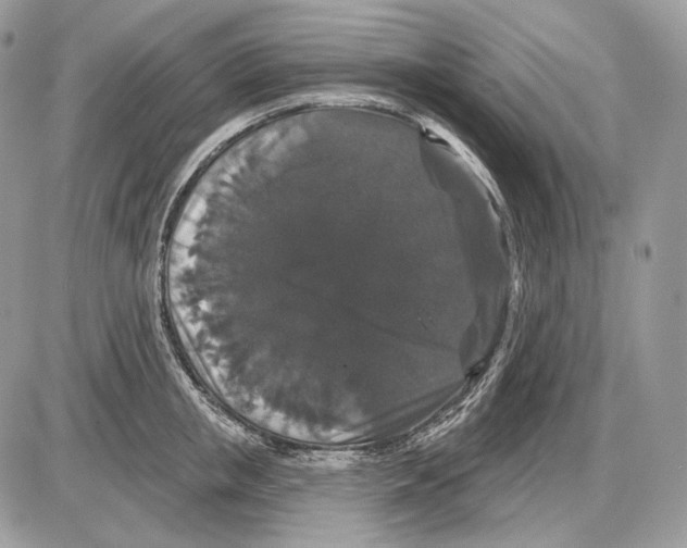 X0000085760853200704131736