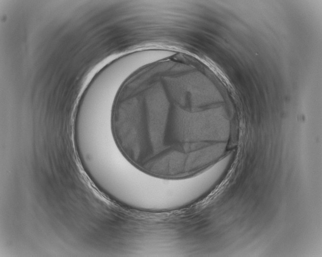 X0000085760854200704131736
