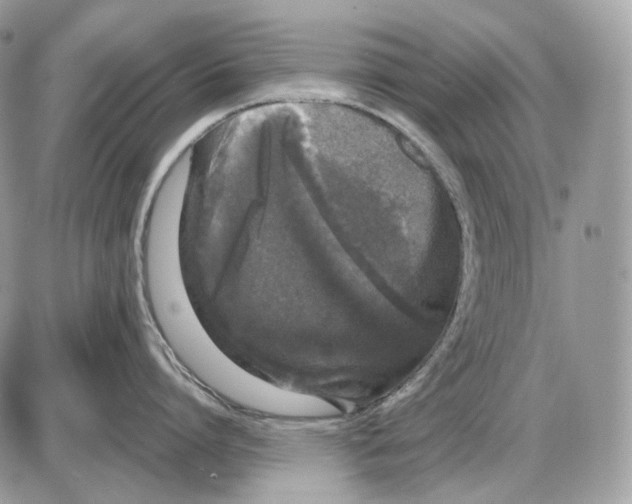 X0000085760864200704131736