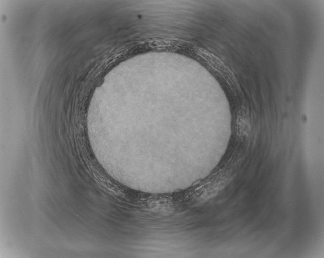 X0000085760865200704131735