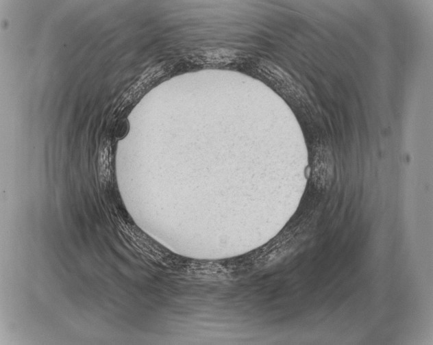 X0000085760866200704131735