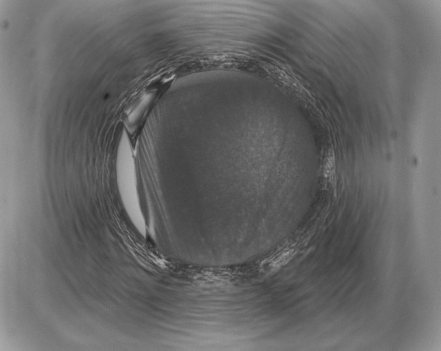 X0000085760868200704131735