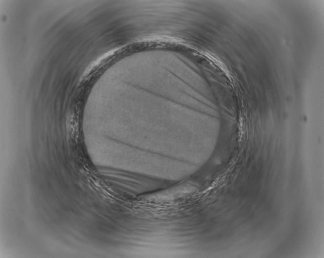 X0000085760872200704131735