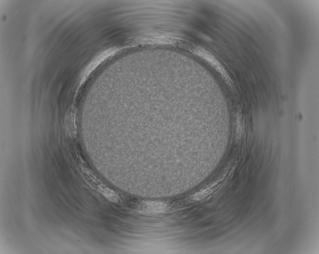 X0000085760878200704131735