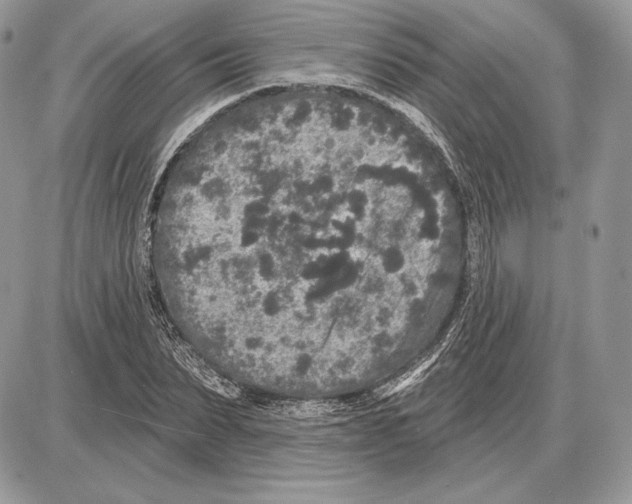 X0000085760879200704131735