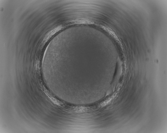 X0000085760881200704131735
