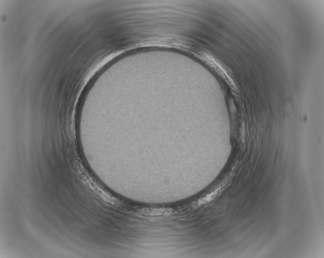 X0000085760884200704131735
