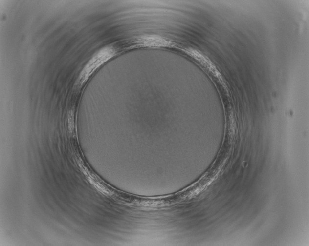 X0000085760889200704131735