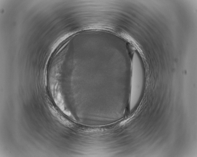 X0000085760892200704131735