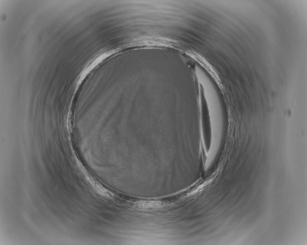 X0000085760893200704131735