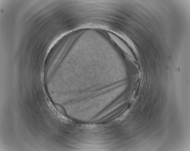 X0000085760896200704131735