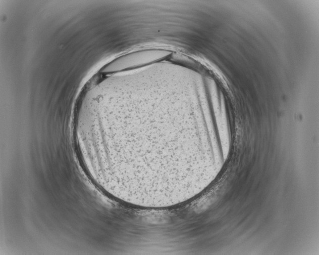 X0000085760902200704131735
