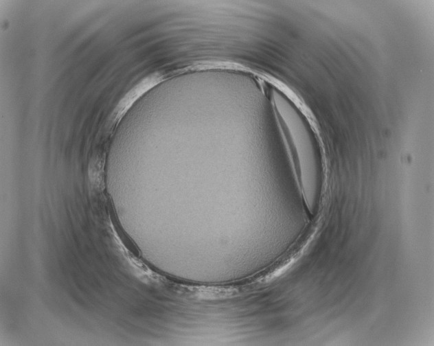 X0000085760905200704131735